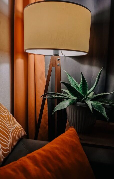 Simple Tips for Creating a Cozy and Inviting Home Environment